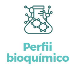 perfil bioquímico